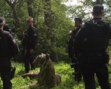 Policie lovila tygra, který unikl ze zoo, dokonce zapojili i helikoptéru: když ho chytili si uvědomili, že to byla socha