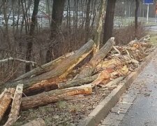 “Počasí bude dnes nebezpečné”: Meteorologové vydali výstrahu před větrem i sněhovými jazyky. Jak bude