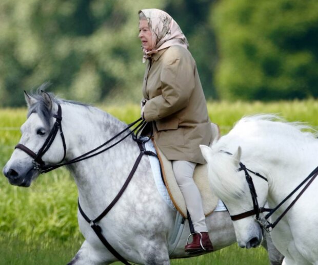 Alžběta II. Foto: snímek obrazovky laykni.com
