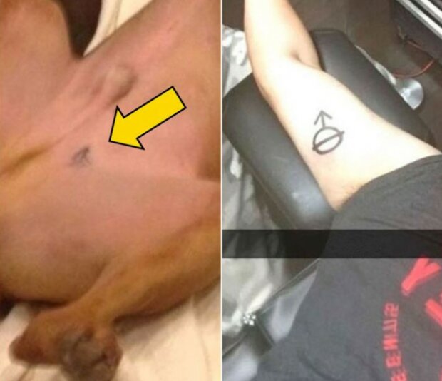 Fotografie: 4tololo.ru