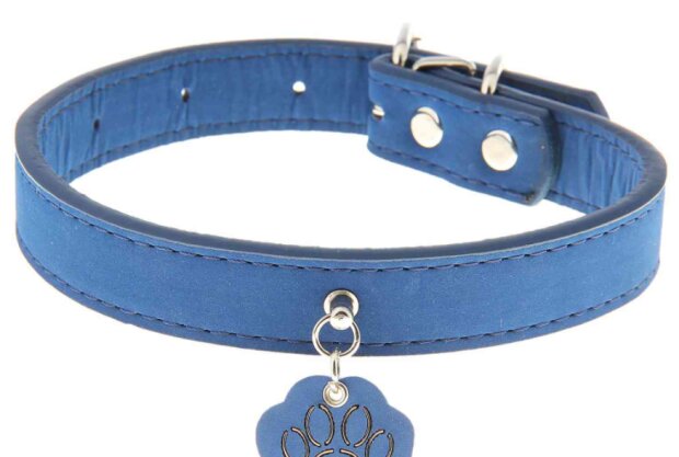 Fotografie: viborpodarka.com