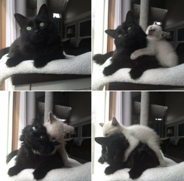 Fotodrafie: laykni.com