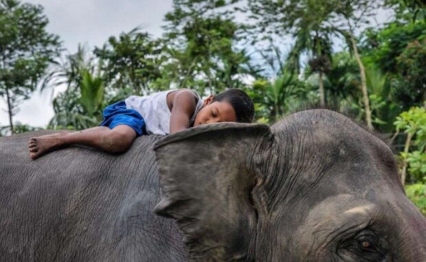 Dětství. Foto: snímek obrazovky laykni.com