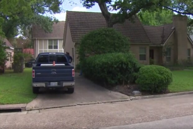 Tygr kráčel tiše mezi domy. Foto: snímek obrazovky YouTube