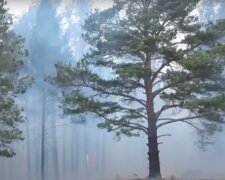 Hrozí vedra i požáry: Extrémní počasí o víkendu. Meteorologové vydali výstrahu