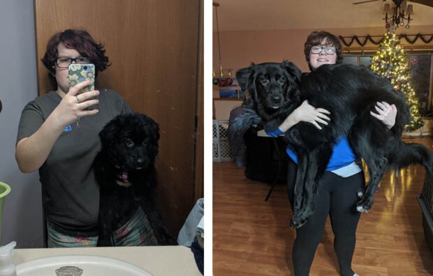 Pes a holka. Foto: snímek obrazovky Bigbutterdaddy / twitter