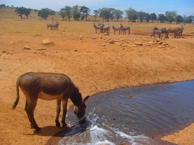 Zdroj fotografie: storyfox.ru