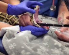 Fotografie: fishki.net