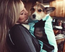 Dívka vzala psa od nedbalého majitele a ukázalo se, že pes umí lidem pomoci