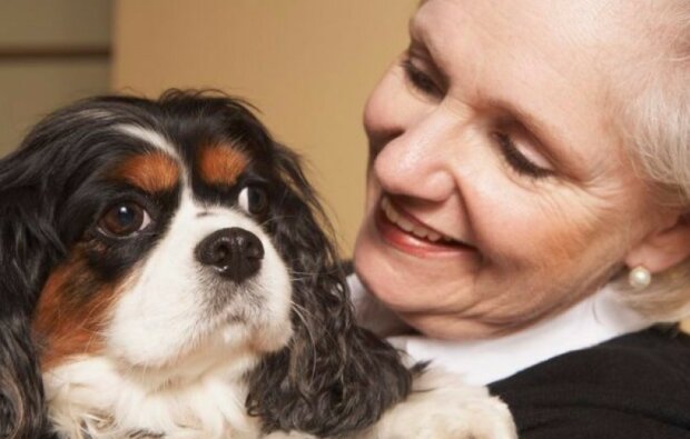 Fotografie: pets2.me