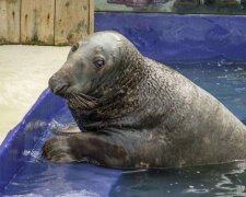 Fotografie: 4tololo.ru