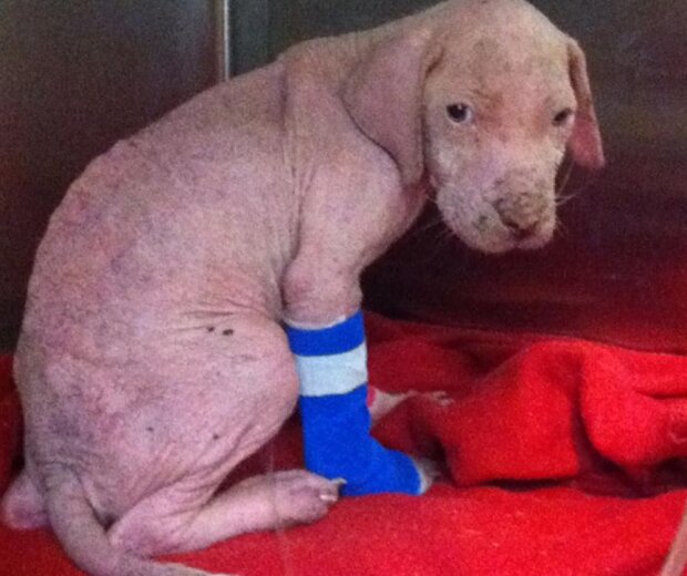 Fotografie: inspiremore.com