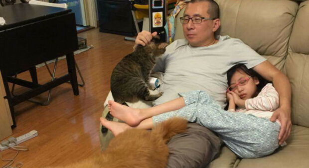Proč otec, dcera, pes a kočka pořizovali po desetiletí každý rok stejnou fotografii