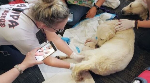 Fotografie: lemurov.net