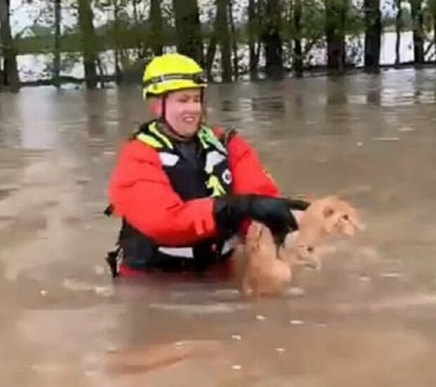 Fotografie: dailymail.co.uk