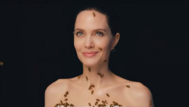 Na počest Světového dne včel se Angelina Jolie zúčastnila nebezpečného focení s 60 000 včelami