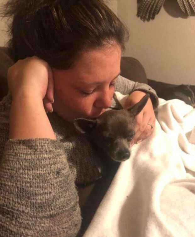 Zdroj fotografie: thedodo.com