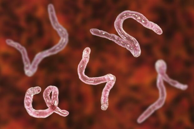 700 parazitů se našlo v lidském mozku poté, co snědl nedopečené maso: "živil se jako každý, žádné zvláštnosti nebyly"