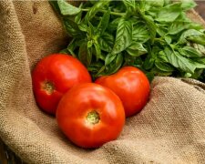 Co se může stát našemu tělu, pokud nejíte zeleninu a ovoce