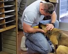 Neuvěřitelné obrázky psů před a po útulku, které vás dotknou v hloubi duše