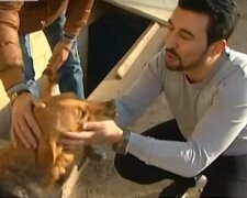 Chlap nachází pouliční psy a jim pomáhá začít nový život