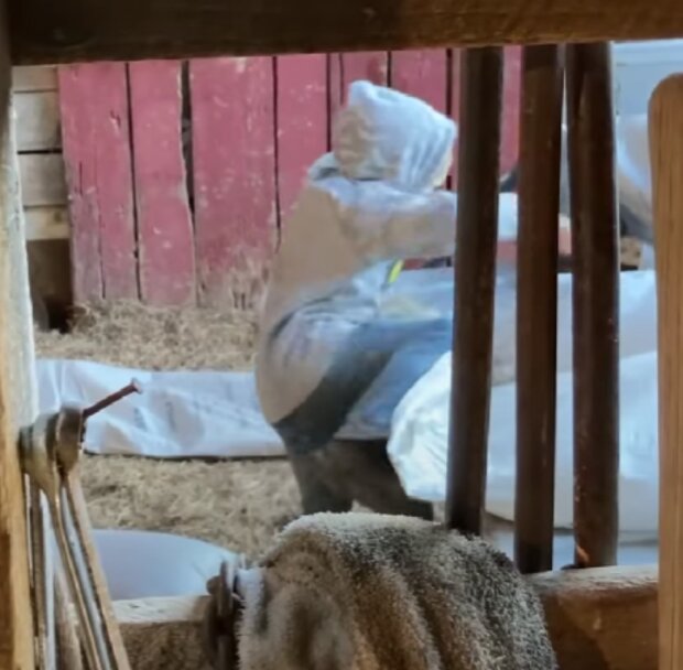 Kluk. Foto: snímek obrazovky YouTube