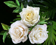 Luciana se naučila dělat jedlé cukrové květiny a učí každého