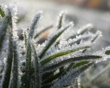 Teploty pod nulou, námraza i ledovka: Předpověď počasí na celý týden