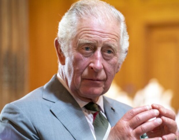 Král Karel III. Foto: snímek obrazovky YouTube