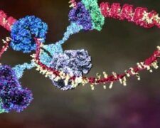 Fungování DNA zobrazeno v krásné animaci