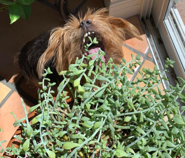 Fotografie: laykni.com