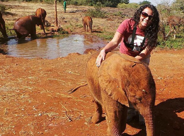 Pštros a slon. Foto: snímek obrazovky duck.show