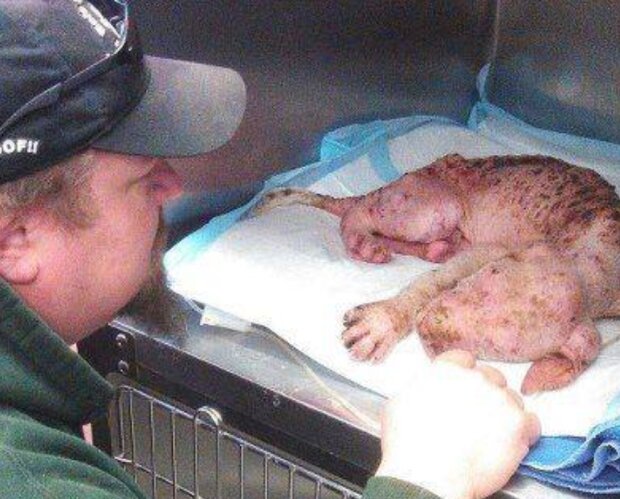 Fotografie: inspiremore.com