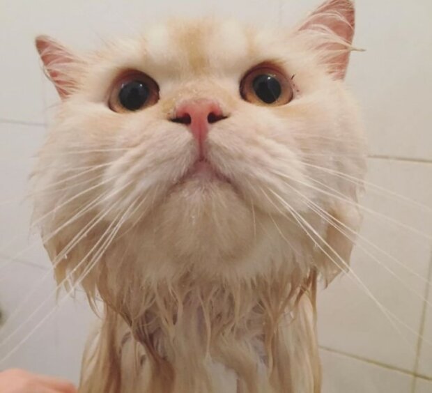 Fotografie: laykni.com