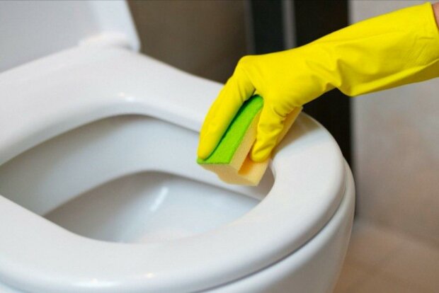 Pouze čistota a svěžest: malé moudrosti čištění toalety