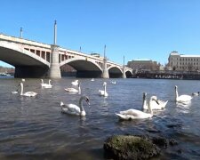 Slunečný a teplý víkend: Předpověď počasí na víkend. Meteorologové řekli, jakých nejvyšších teplot se dočkáme