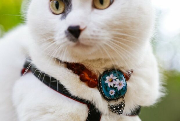 Fotografie:laykni.com