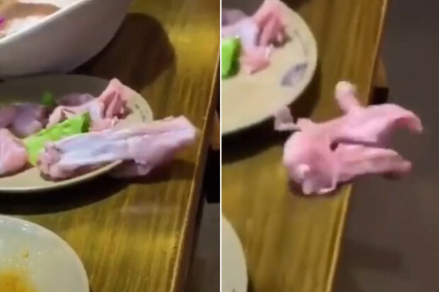 Syrové kuřecí prso v restaurace uteklo z talíře