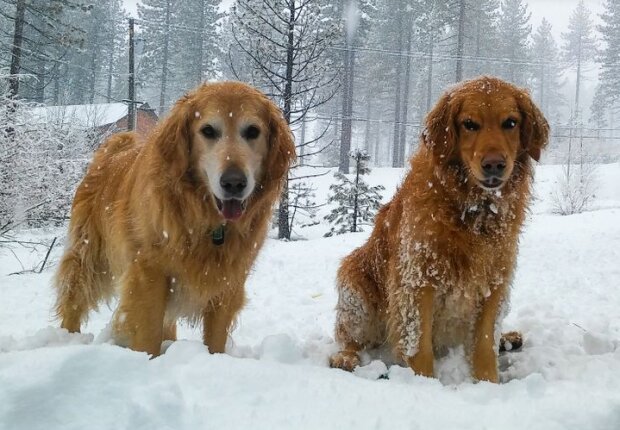 Fotografie: duck.show