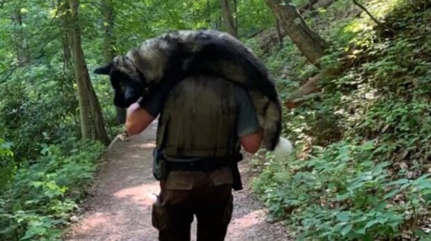 Skutečný hrdina: jak strážce lesa zachránil psa před úžehem