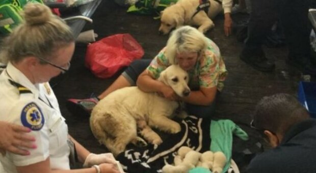 Fotografie: lemurov.net