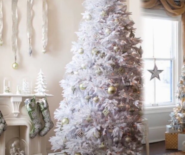 Silvestra. Foto: snímek obrazovky YouTube