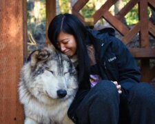 Na planetě existuje ostrov plný přátelských vlků