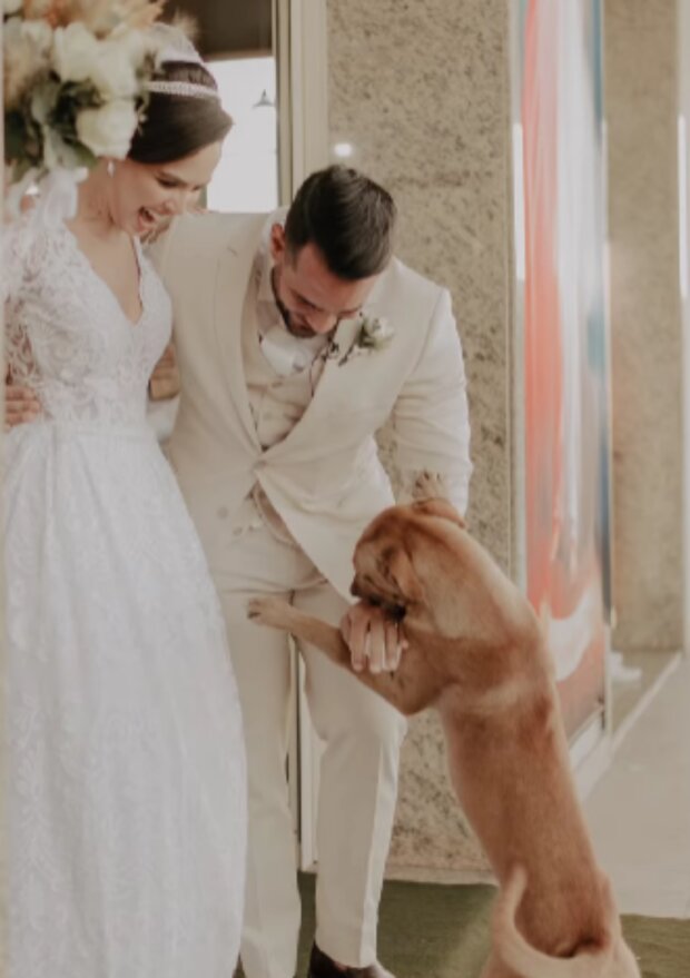 Foto: snímek obrazovky Instagram