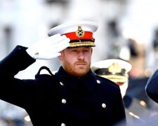 Média: Princ Harry podstoupil terapii po odchodu princezny Diany