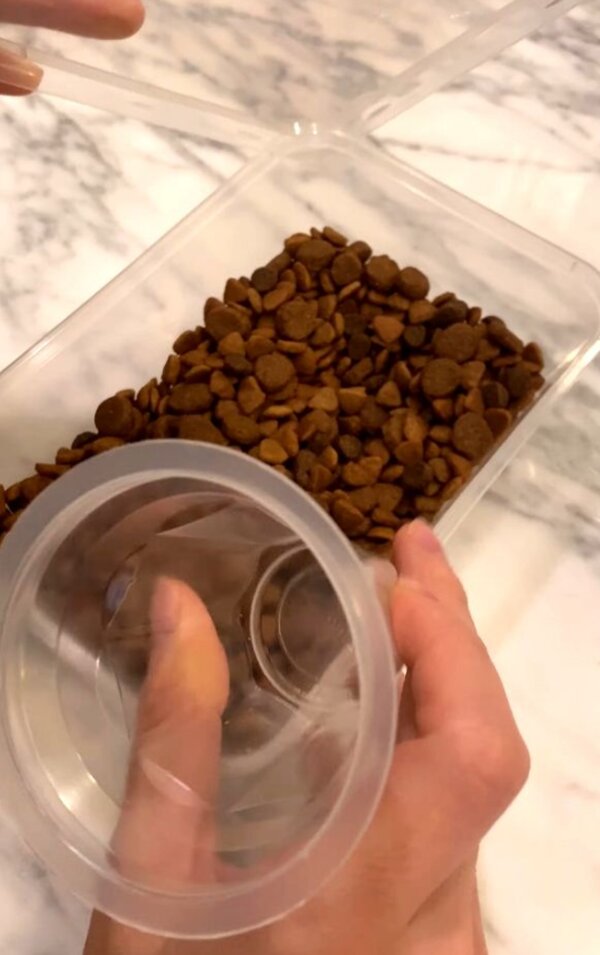 Fotografie: 4tololo.ru