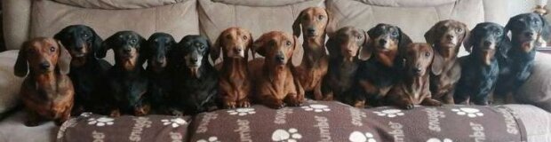 Fotografie: leprechaun.land