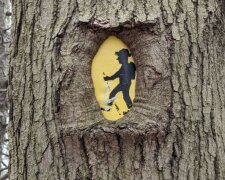 Zázraky a záhady přírody, které dokazují, co ještě je tu něco, co může překvapit