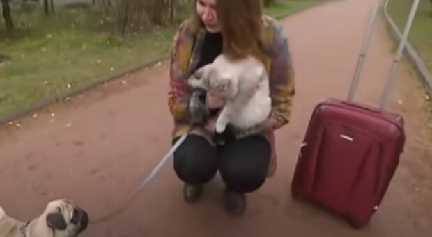 Létání s domácími mazlíčky. Foto: snímek obrazovky YouTube