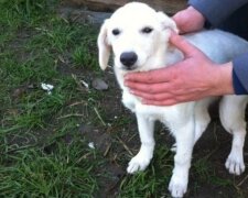 Zdroj fotografie: mur.tv